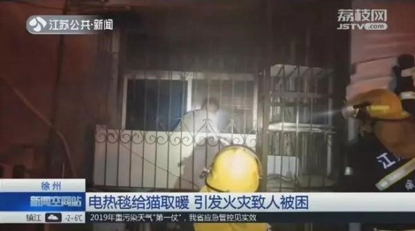 給貓取暖引發火災，冬季采暖還是空氣能熱泵更安全